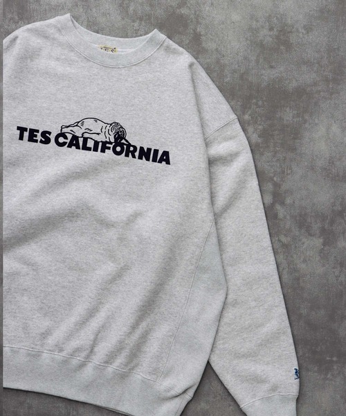 The Endless Summer（エンドレスサマー）の「TES SAME OLD CN SWEAT / クルーネックスウェット（スウェット・メンズ・ホワイト/チャコール/ネイビー/ブラック/グレー・SMALL/MEDIUM/LARGE/X-LARGE）」の17枚目の写真