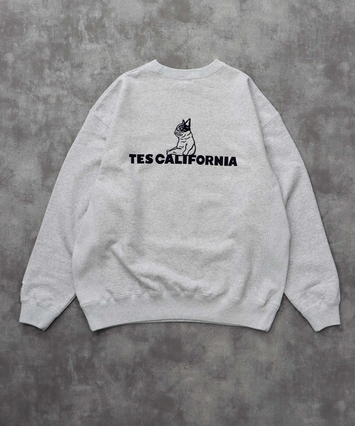 TES SAME OLD CN SWEAT / クルーネックスウェット（スウェット）｜The