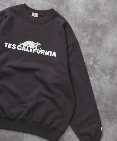 The Endless Summer（エンドレスサマー）の「TES SAME OLD CN SWEAT / クルーネックスウェット（スウェット・メンズ・ホワイト/チャコール/ネイビー/ブラック/グレー・SMALL/MEDIUM/LARGE/X-LARGE）」の22枚目の写真