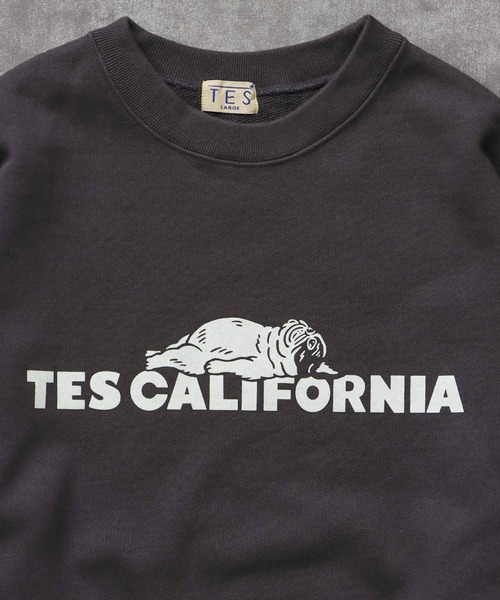 TES SAME OLD CN SWEAT / クルーネックスウェット（スウェット）｜The