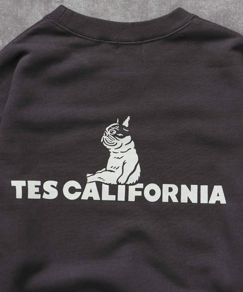 TES SAME OLD CN SWEAT / クルーネックスウェット（スウェット）｜The