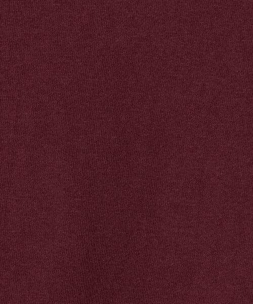 6（ロク）の「＜6(ROKU)＞SOMEHTING NEW ロングスリーブTシャツ（Tシャツ/カットソー・レディース・ホワイト/ワイン・S/L）」の11枚目の写真