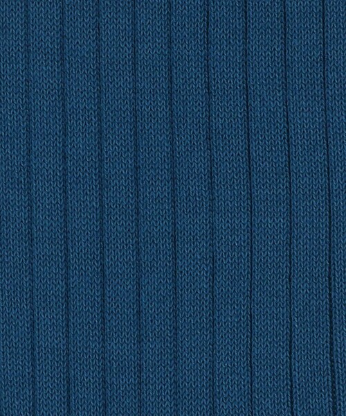 UNITED ARROWS(ユナイテッドアローズ)の「カラー リブソックス(ソックス/靴下・メンズ・パープル/オレンジ/オフホワイト/ケリーグリーン/ロイヤルブルー/レッド・FREE)」の15枚目の写真