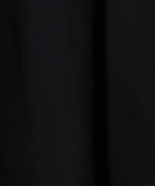 UNITED ARROWS(ユナイテッドアローズ)の「トリコット フォーム Tシャツ(Tシャツ/カットソー・レディース・その他7/オフホワイト/ブラック/ライトピンク・FREE)」の15枚目の写真