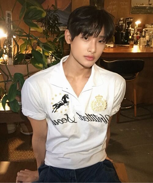 UNTITLED SEOUL(アンタイトル ソウル)の「アンタイトル クレスト ポロ クロップ 半袖 ホワイト(Tシャツ/カットソー・レディース・その他・MEDIUM/LARGE/SMALL)」の9枚目の写真