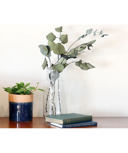 Creer（クレエ）の「クレエ Creer / シナリーベースD（フラワーベース・レディース・クリア・FREE）」の2枚目の写真