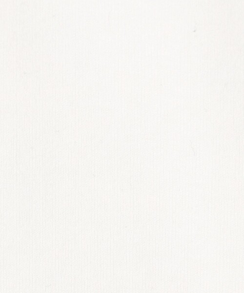 fitfor(フィットフォー)の「【別注】FITFOR コットン 2枚入りパックTシャツ(Tシャツ/カットソー・メンズ・ホワイト・S/M/L)」の9枚目の写真