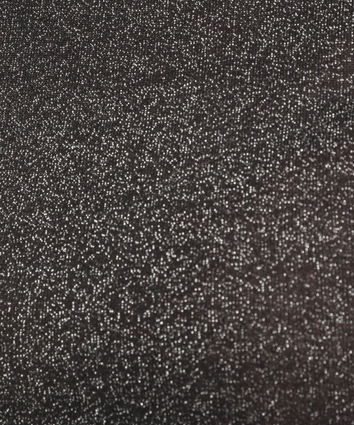 Andemiu（アンデミュウ）の「ラメカットＴ134418（Tシャツ/カットソー・レディース・シルバーグレー/ベージュ/ブラック・FREE）」の14枚目の写真