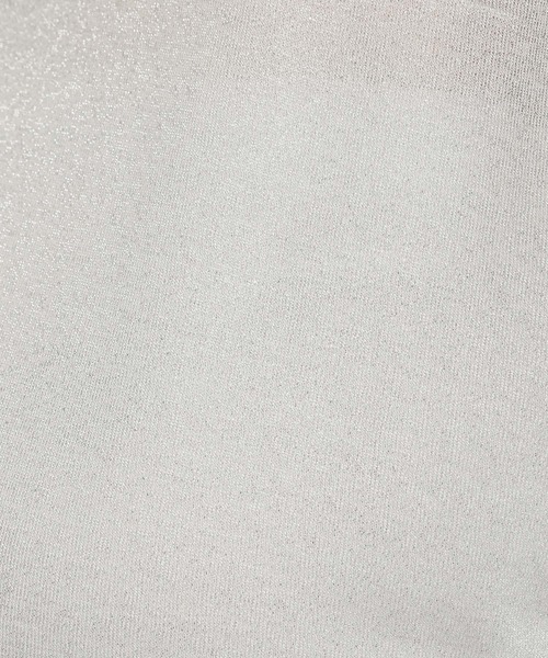 Andemiu（アンデミュウ）の「ラメカットＴ134418（Tシャツ/カットソー・レディース・シルバーグレー/ベージュ/ブラック・FREE）」の15枚目の写真