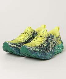 ASICS(AVbNX)NOOSA TRI 16 / Y / X^_[h(Xj[J[)