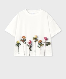 PS Paul Smith(s[GX|[X~X)̃EBY t[ wvg TVc / 255424 405V(TVc/Jbg\[)