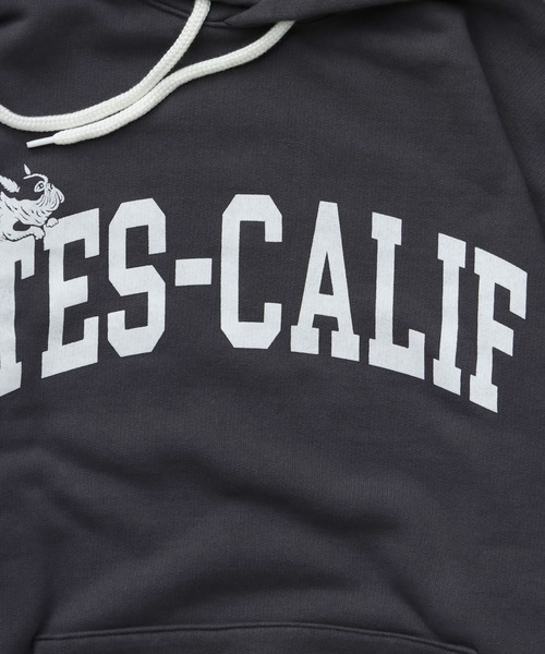 The Endless Summer（エンドレスサマー）の「TES COLLEGE SWEAT PARKA / スウェットパーカー（パーカー・メンズ・チャコール/ネイビー/ブラック/グレー・SMALL/MEDIUM/LARGE/X-LARGE）」の17枚目の写真