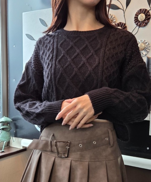 tolene(トレネ)の「ケーブル編み クロップド丈 ニットトップス(ニット/セーター・レディース・ブラウン/ホワイト/ブラック・FREE)」の2枚目の写真