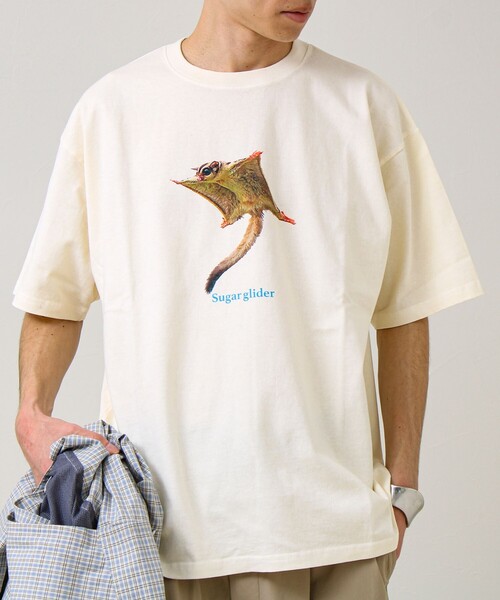GLOSTER(グロスター)の「【大人も着やすい】リアルアニマル プリントTシャツ(Tシャツ/カットソー・メンズ・ホワイト系その他3/ホワイト系その他/ホワイト系その他2・M/S/L)」の3枚目の写真