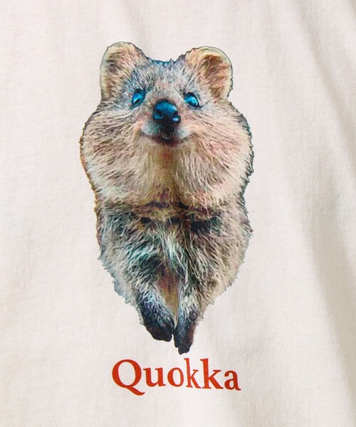 GLOSTER(グロスター)の「【大人も着やすい】リアルアニマル プリントTシャツ(Tシャツ/カットソー・メンズ・ホワイト系その他3/ホワイト系その他/ホワイト系その他2・M/S/L)」の11枚目の写真