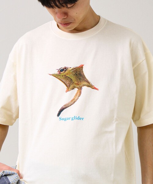 GLOSTER(グロスター)の「【大人も着やすい】リアルアニマル プリントTシャツ(Tシャツ/カットソー・メンズ・ホワイト系その他3/ホワイト系その他/ホワイト系その他2・M/S/L)」の13枚目の写真