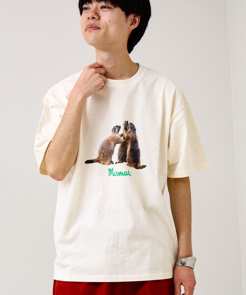 GLOSTER(グロスター)の「【大人も着やすい】リアルアニマル プリントTシャツ(Tシャツ/カットソー・メンズ・ホワイト系その他3/ホワイト系その他/ホワイト系その他2・M/S/L)」の15枚目の写真