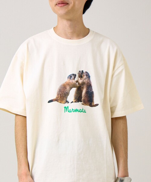 GLOSTER(グロスター)の「【大人も着やすい】リアルアニマル プリントTシャツ(Tシャツ/カットソー・メンズ・ホワイト系その他3/ホワイト系その他/ホワイト系その他2・M/S/L)」の16枚目の写真