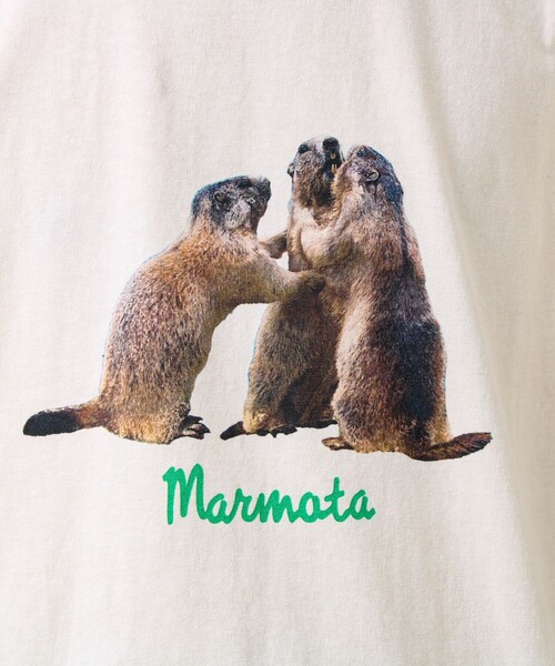 GLOSTER(グロスター)の「【大人も着やすい】リアルアニマル プリントTシャツ(Tシャツ/カットソー・メンズ・ホワイト系その他3/ホワイト系その他/ホワイト系その他2・M/S/L)」の17枚目の写真