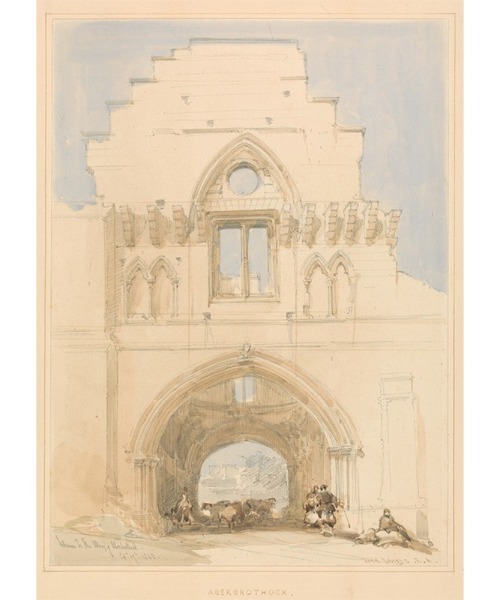 sahara（サハラ）の「【PRE ORDER】Art Print Sheer Pants（その他パンツ・レディース・その他1/その他2/その他3・FREE）」の10枚目の写真