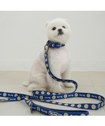 Bailey（ベイリー）の「犬の散歩デイジーワーキーリード（リード/ハーネス/首輪）」
