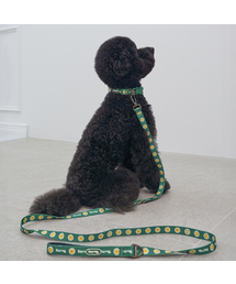 Bailey（ベイリー）の「犬の散歩デイジーワーキーリード（リード/ハーネス/首輪）」