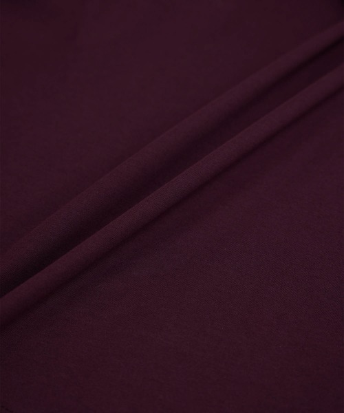 ROPE' PICNIC（ロペピクニック）の「【2WAY】ボウタイカットソートップス（Tシャツ/カットソー・レディース・ワイン/オフホワイト/ブラック・38）」の10枚目の写真