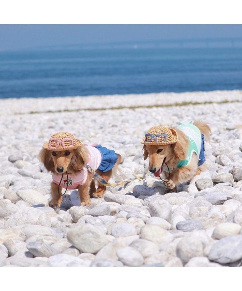 tone（トーン）の「【shop ann】犬用麦わら帽子　サングラス犬用/犬帽子/犬の帽子(SU)（その他ペットグッズ・レディース・ピンク/ブルー・SMALL/X-SMALL/MEDIUM）」の6枚目の写真