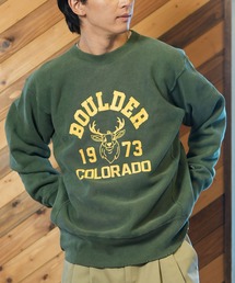 Champion | CHAMPION/チャンピオン スウェットトレーナー 裏起毛 青タグ ユニセックス C3-A008(スウェット)