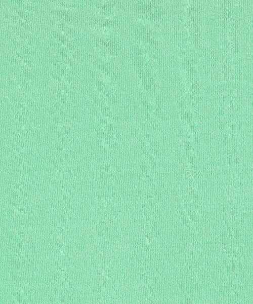 BALLSEY(ボールジィ)の「シアーコンパクトジャージー ロングスリーブプルオーバー(Tシャツ/カットソー・レディース・ブラック/グリーン/ホワイト/パープル/ブラウン・S)」の17枚目の写真