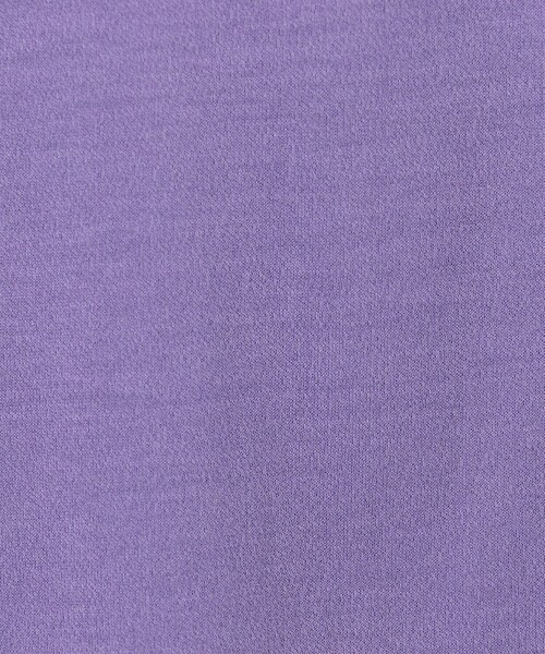 BALLSEY(ボールジィ)の「シアーコンパクトジャージー ロングスリーブプルオーバー(Tシャツ/カットソー・レディース・ブラック/グリーン/ホワイト/パープル/ブラウン・S)」の18枚目の写真