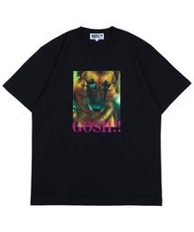 VINYL by Amplifier “hide” TEE 