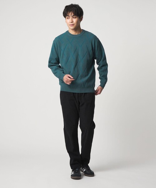 A DAY IN THE LIFE UNITED ARROWS(アデイインザライフユナイテッドアローズ)の「ミドルゲージ リンクス クルーネックニット-ウォッシャブル-<A DAY IN THE LIFE>(ニット/セーター・メンズ・ターコイズブルー系/ホワイト/ネイビー・M/L)」の22枚目の写真