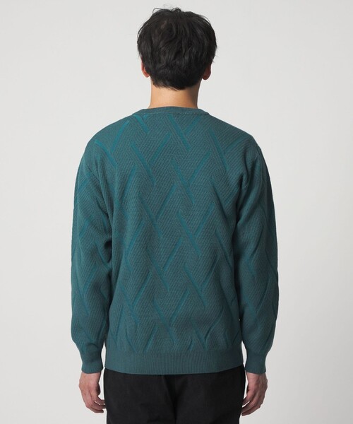 A DAY IN THE LIFE UNITED ARROWS(アデイインザライフユナイテッドアローズ)の「ミドルゲージ リンクス クルーネックニット-ウォッシャブル-<A DAY IN THE LIFE>(ニット/セーター・メンズ・ターコイズブルー系/ホワイト/ネイビー・M/L)」の19枚目の写真