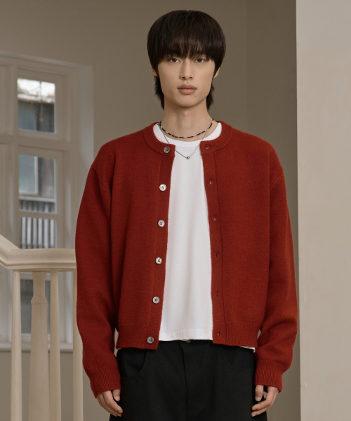 25 FW ウォッシャブルエッセンシャルラウンドクロップニット