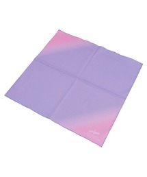 BACKYARD FAMILY(�o�b�N���[�h�t�@�~���[)�̃V�G���v�� �����`�N���X(�����`�����}�b�g/�e�[�u���E�F�A)