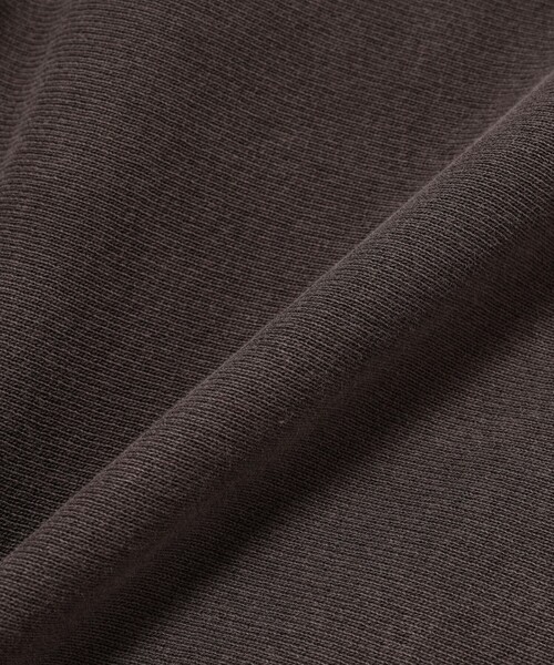 Champion（チャンピオン）の「【別注】Champion / リバースウィーブ（R）フルジップ パーカー（パーカー・メンズ・ブラウン/スミクロ・X-LARGE/LARGE/MEDIUM/SMALL）」の3枚目の写真