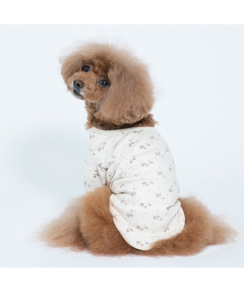 Burner（バーナー）の「【MOFF】MOFF フラワー長袖TOPS  MO213-023-015 犬服 ペット用品（ペットウェア・レディース・ピンク/オフホワイト・4号/2号/5号/3号/1号）」の9枚目の写真