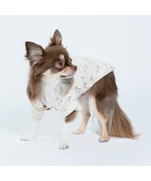 Burner（バーナー）の「【MOFF】MOFF フラワー長袖TOPS  MO213-023-015 犬服 ペット用品（ペットウェア・レディース・ピンク/オフホワイト・4号/2号/5号/3号/1号）」の20枚目の写真