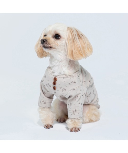 Burner（バーナー）の「【MOFF】MOFF フラワー長袖TOPS  MO213-023-015 犬服 ペット用品（ペットウェア・レディース・ピンク/オフホワイト・4号/2号/5号/3号/1号）」の17枚目の写真