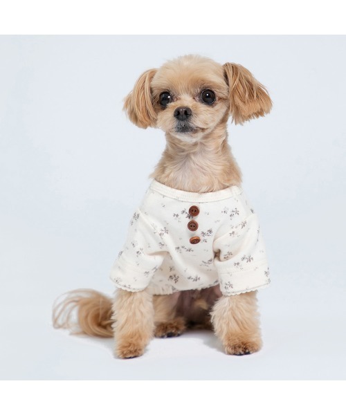 Burner（バーナー）の「【MOFF】MOFF フラワー長袖TOPS  MO213-023-015 犬服 ペット用品（ペットウェア・レディース・ピンク/オフホワイト・4号/2号/5号/3号/1号）」の21枚目の写真