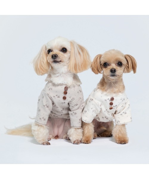 Burner（バーナー）の「【MOFF】MOFF フラワー長袖TOPS  MO213-023-015 犬服 ペット用品（ペットウェア・レディース・ピンク/オフホワイト・4号/2号/5号/3号/1号）」の8枚目の写真