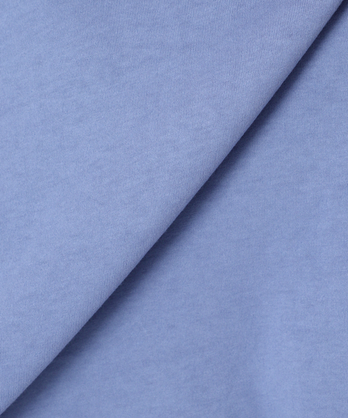 ALORE(アローレ)の「《追加》別注【ALORE/アローレ】ボタニカルダイロングTシャツ(Tシャツ/カットソー・レディース・ホワイト系その他/グレー/ライトブルー/ブラウン・FREE)」の21枚目の写真
