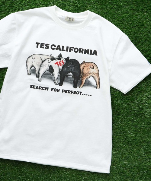 The Endless Summer(エンドレスサマー)の「TES 4BUHI T-SHIRT / Tシャツ(Tシャツ/カットソー・メンズ・サンドベージュ/ピンク/ホワイト/サックスブルー・X-LARGE/LARGE/MEDIUM/SMALL)」の1枚目の写真