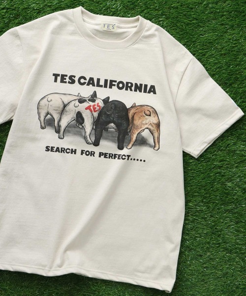 The Endless Summer(エンドレスサマー)の「TES 4BUHI T-SHIRT / Tシャツ(Tシャツ/カットソー・メンズ・サンドベージュ/ピンク/ホワイト/サックスブルー・X-LARGE/LARGE/MEDIUM/SMALL)」の2枚目の写真