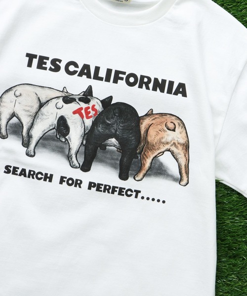 The Endless Summer(エンドレスサマー)の「TES 4BUHI T-SHIRT / Tシャツ(Tシャツ/カットソー・メンズ・サンドベージュ/ピンク/ホワイト/サックスブルー・X-LARGE/LARGE/MEDIUM/SMALL)」の8枚目の写真