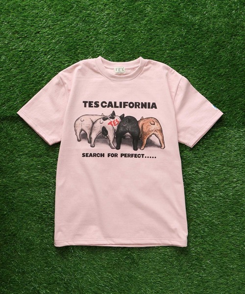 The Endless Summer(エンドレスサマー)の「TES 4BUHI T-SHIRT / Tシャツ(Tシャツ/カットソー・メンズ・サンドベージュ/ピンク/ホワイト/サックスブルー・X-LARGE/LARGE/MEDIUM/SMALL)」の10枚目の写真