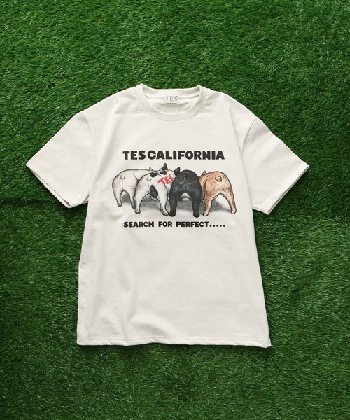 The Endless Summer(エンドレスサマー)の「TES 4BUHI T-SHIRT / Tシャツ(Tシャツ/カットソー・メンズ・サンドベージュ/ピンク/ホワイト/サックスブルー・X-LARGE/LARGE/MEDIUM/SMALL)」の13枚目の写真