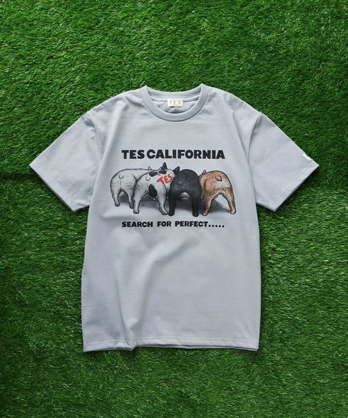 The Endless Summer(エンドレスサマー)の「TES 4BUHI T-SHIRT / Tシャツ(Tシャツ/カットソー・メンズ・サンドベージュ/ピンク/ホワイト/サックスブルー・X-LARGE/LARGE/MEDIUM/SMALL)」の16枚目の写真