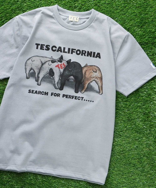 The Endless Summer(エンドレスサマー)の「TES 4BUHI T-SHIRT / Tシャツ(Tシャツ/カットソー・メンズ・サンドベージュ/ピンク/ホワイト/サックスブルー・X-LARGE/LARGE/MEDIUM/SMALL)」の18枚目の写真